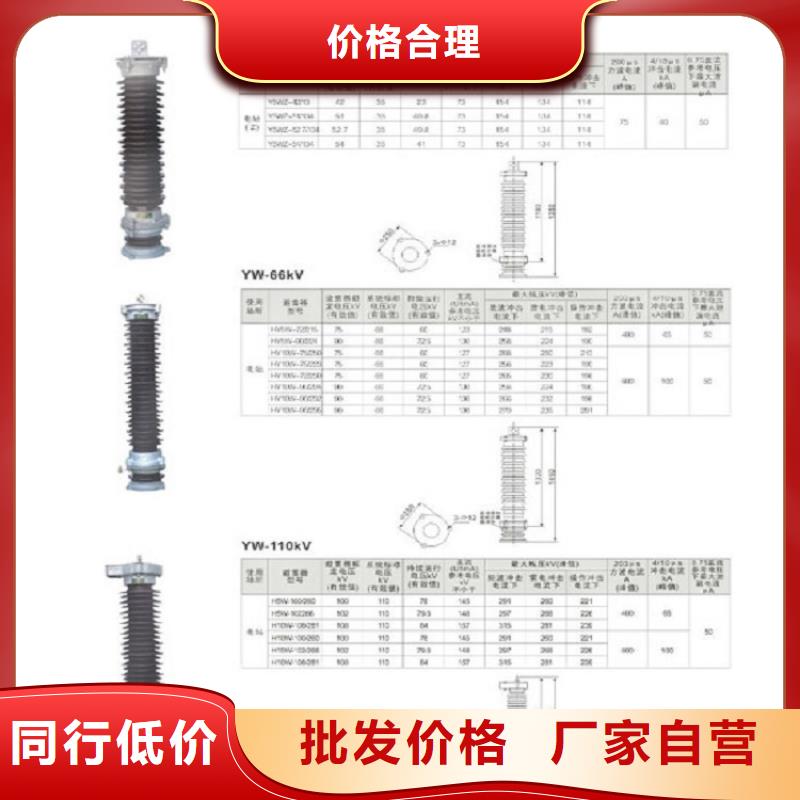 金属氧化物避雷器Y10W-102/266供您所需