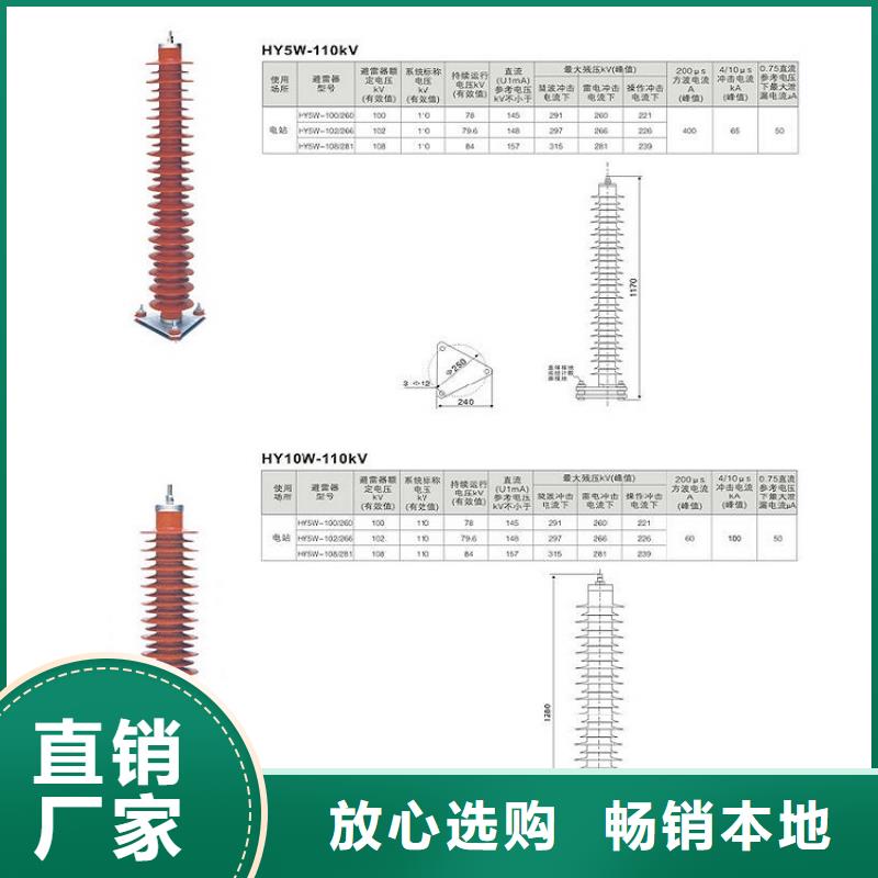 金属氧化物避雷器Y10W-102/266浙江羿振电气有限公司质量安心