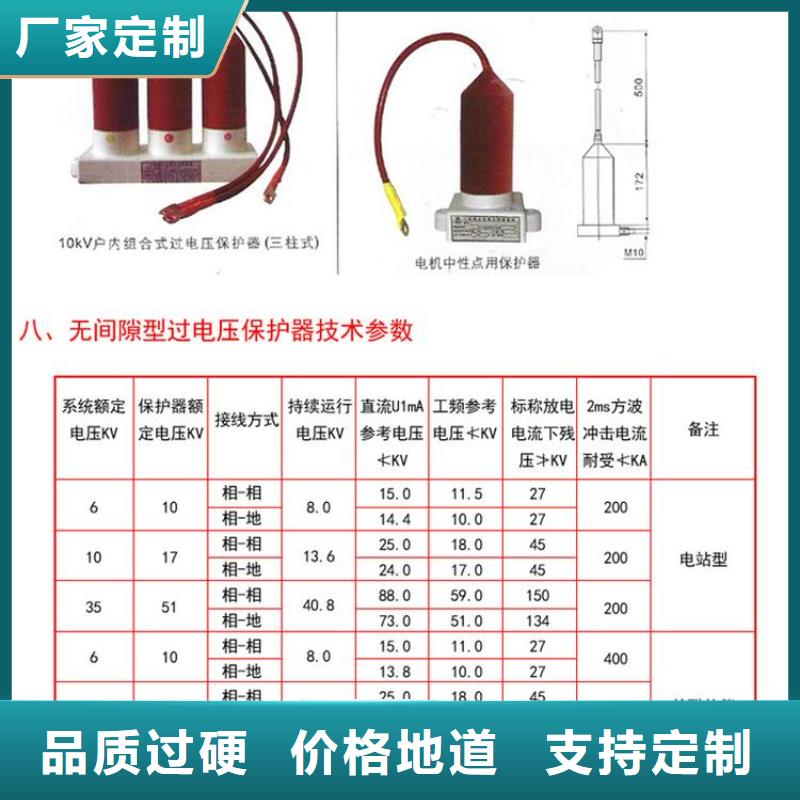 【】保护器(组合式避雷器)TGB-D-15.75/N厂家实力雄厚