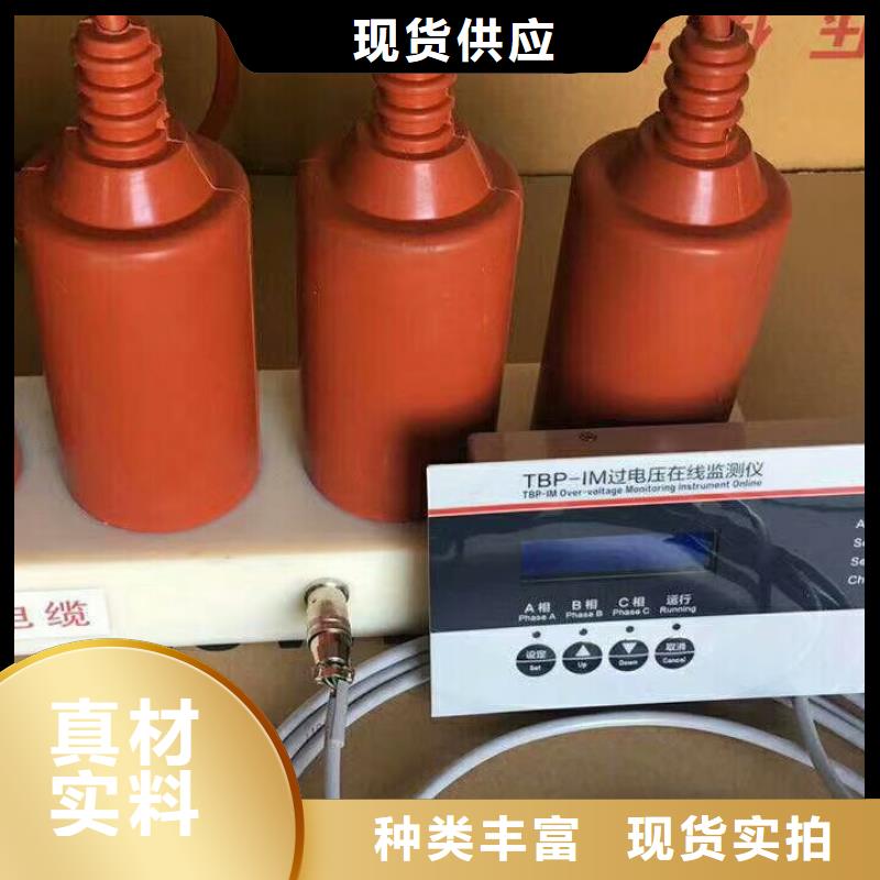 【】保护器(组合式避雷器)TBP-C-7.6/131{当地}厂家