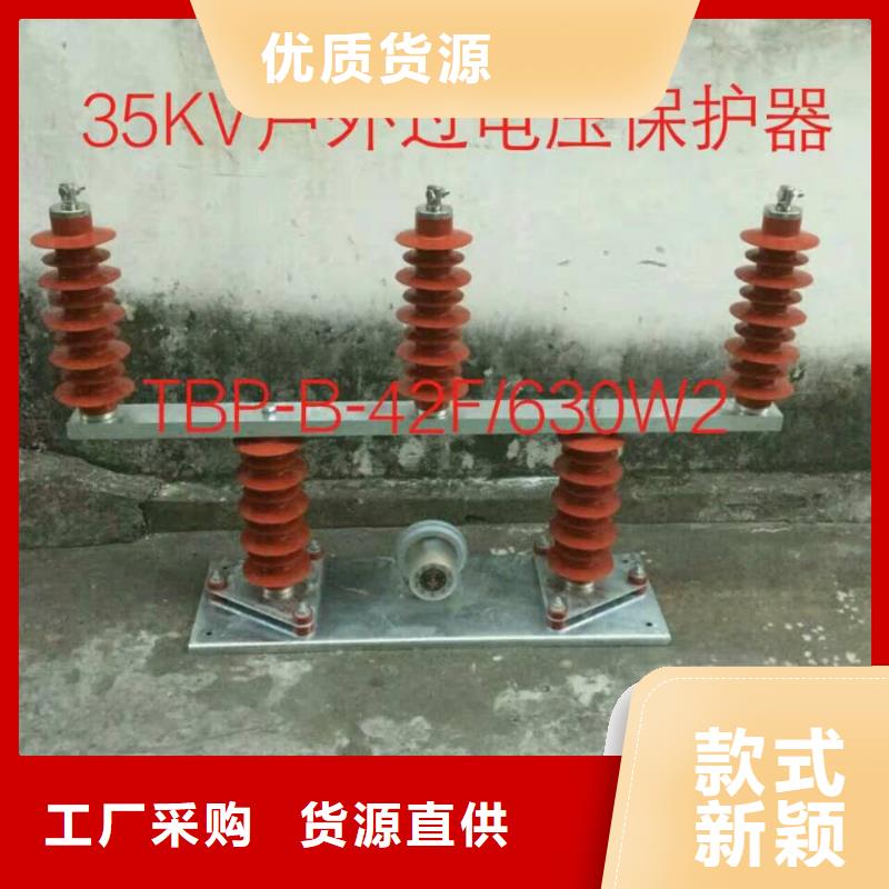 【】保护器(组合式避雷器)YH5CZ-7.6/24*7.6/24诚信商家