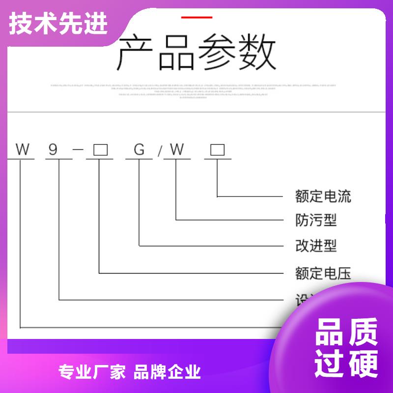 []HGW9-10/200户外高压交流隔离开关【本地】供应商