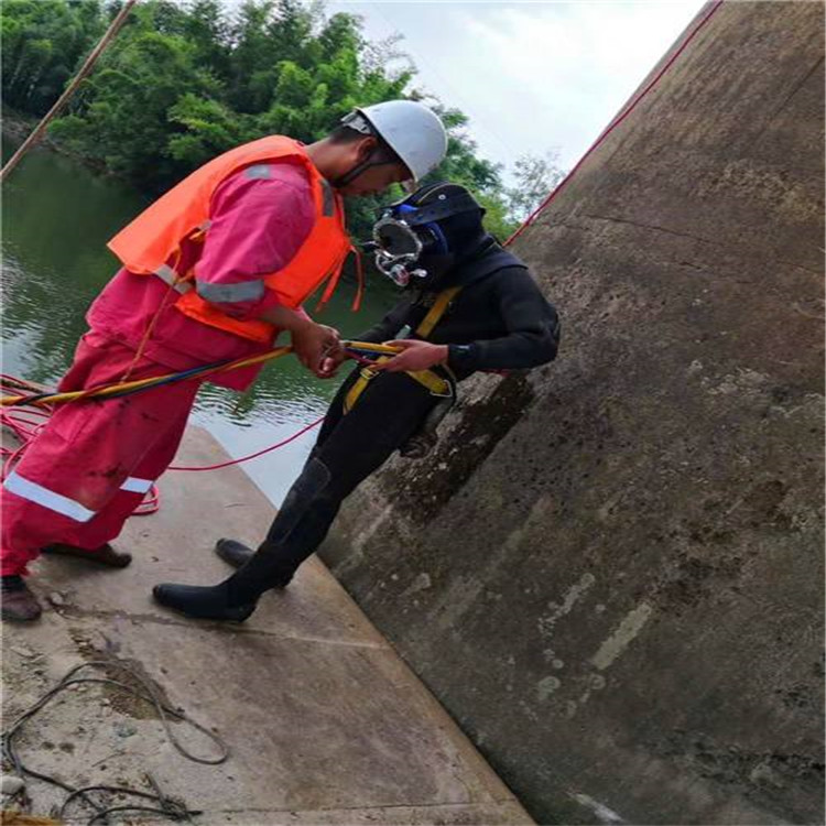 上海市打捞物证全市水下打捞救援队伍