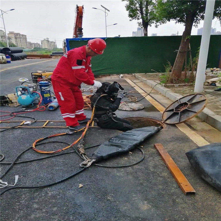 马鞍山市蛙人打捞公司承接各种水下作业