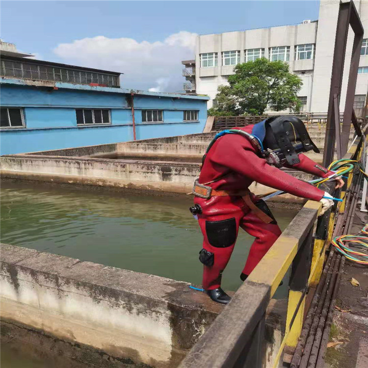 庆阳市桥墩水下加固-水下搜救队伍打捞作业