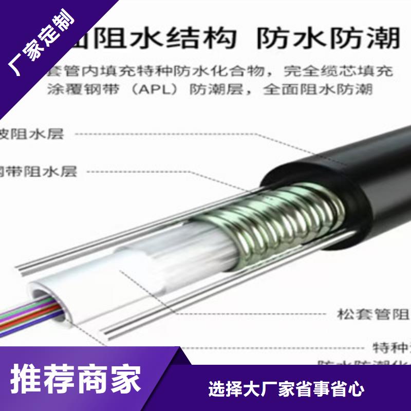 1419A通讯电缆定制产品细节