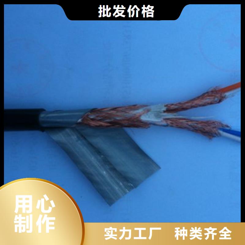 DJYVP3R计算机屏蔽电缆4X2X1.5品牌企业