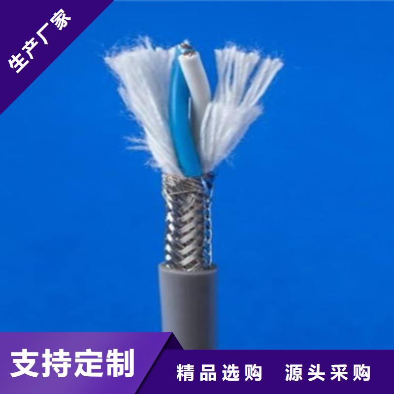 计算机屏蔽电缆DJYJP2V2R1X2X2.5品质优选