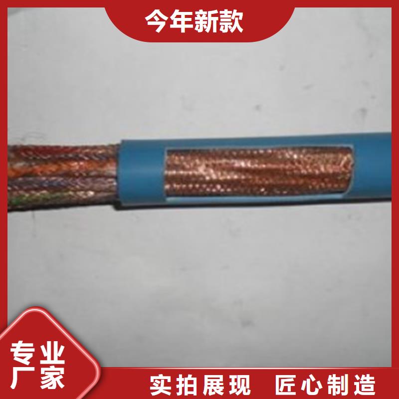 计算机屏蔽电缆DJVVPR10X2X2.5同城货源