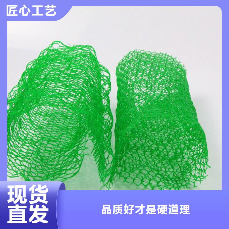 三维植被网,土工格栅优良工艺大厂生产品质