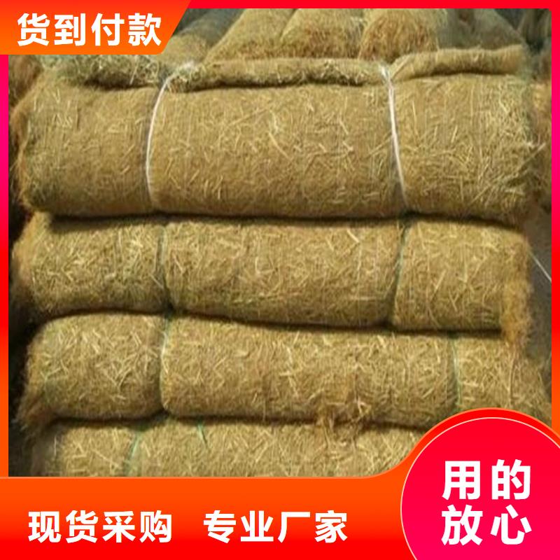 椰丝毯【防渗膜】匠心品质海量货源