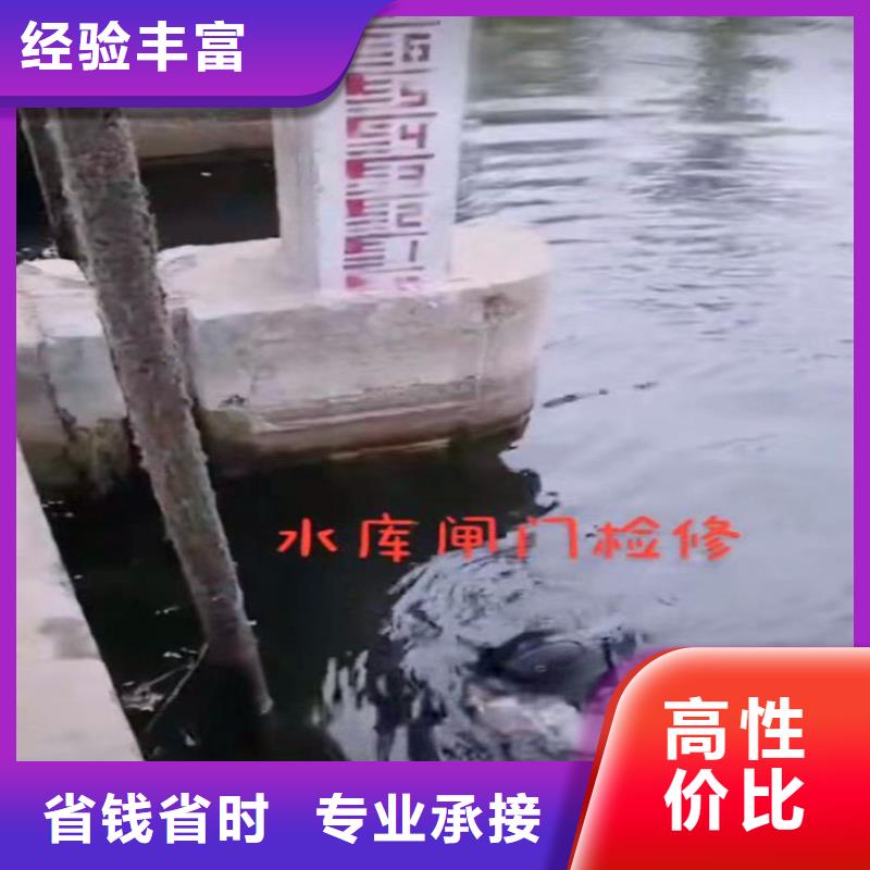 水鬼蛙人水下检修闸门-常用指南-金玉良言<本地>公司