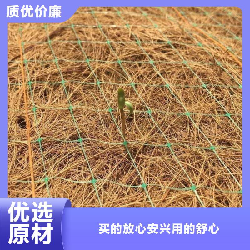 椰纤植生毯生态环保草毯专注生产N年