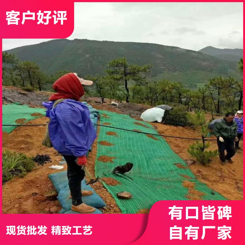 椰丝毯HDPE土工膜制造厂家当地货源