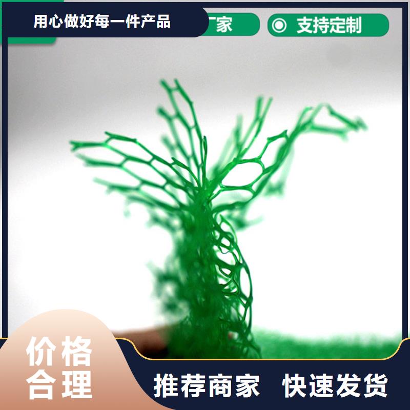 三维植被网硬式透水管实力优品<当地>厂家