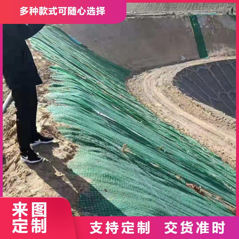 加筋抗冲生物毯加固-边坡防护厂家直销值得选择