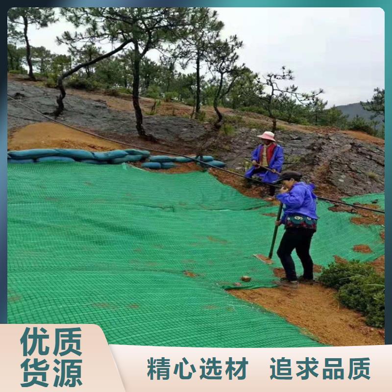 加筋抗冲生物毯-麻椰固土毯-草种植生毯[当地]生产商