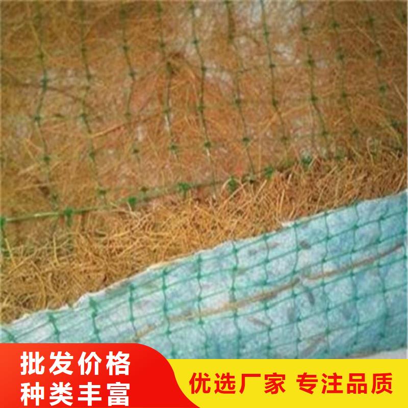 植生椰丝毯-秸秆草毯-加筋复合抗冲生态毯[本地]供应商