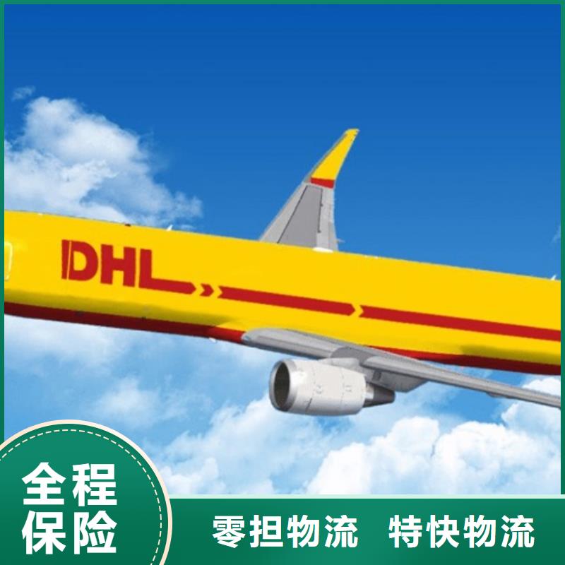 文山【DHL快递】航空运输快速高效