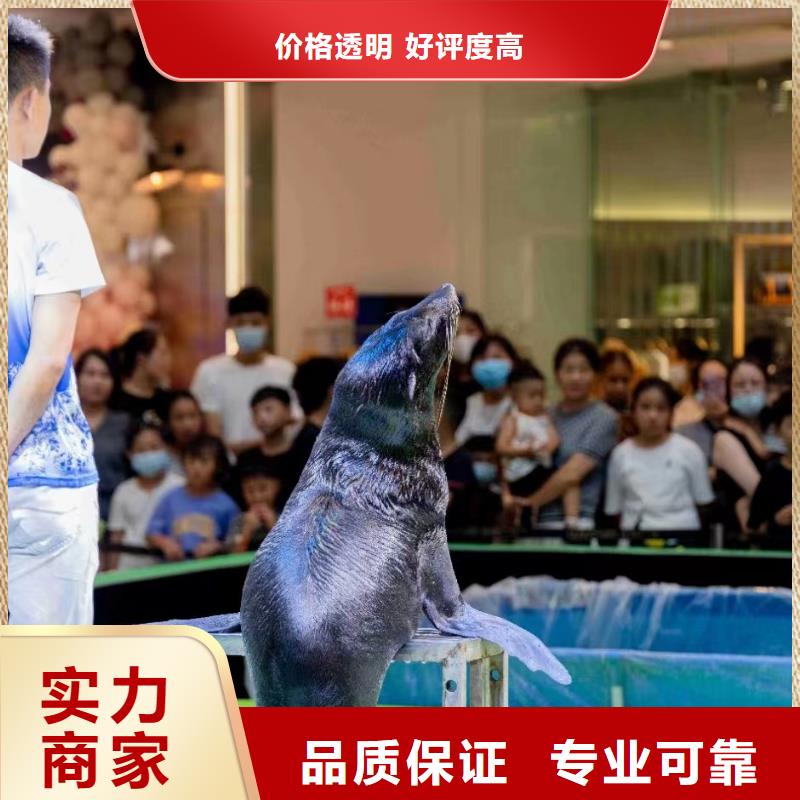 海洋生物展租赁公司主题展览省钱省时