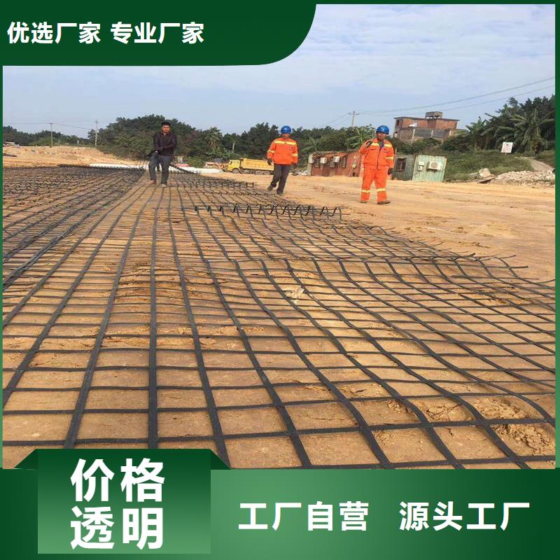 玻纤土工格栅工厂直销【本地】品牌