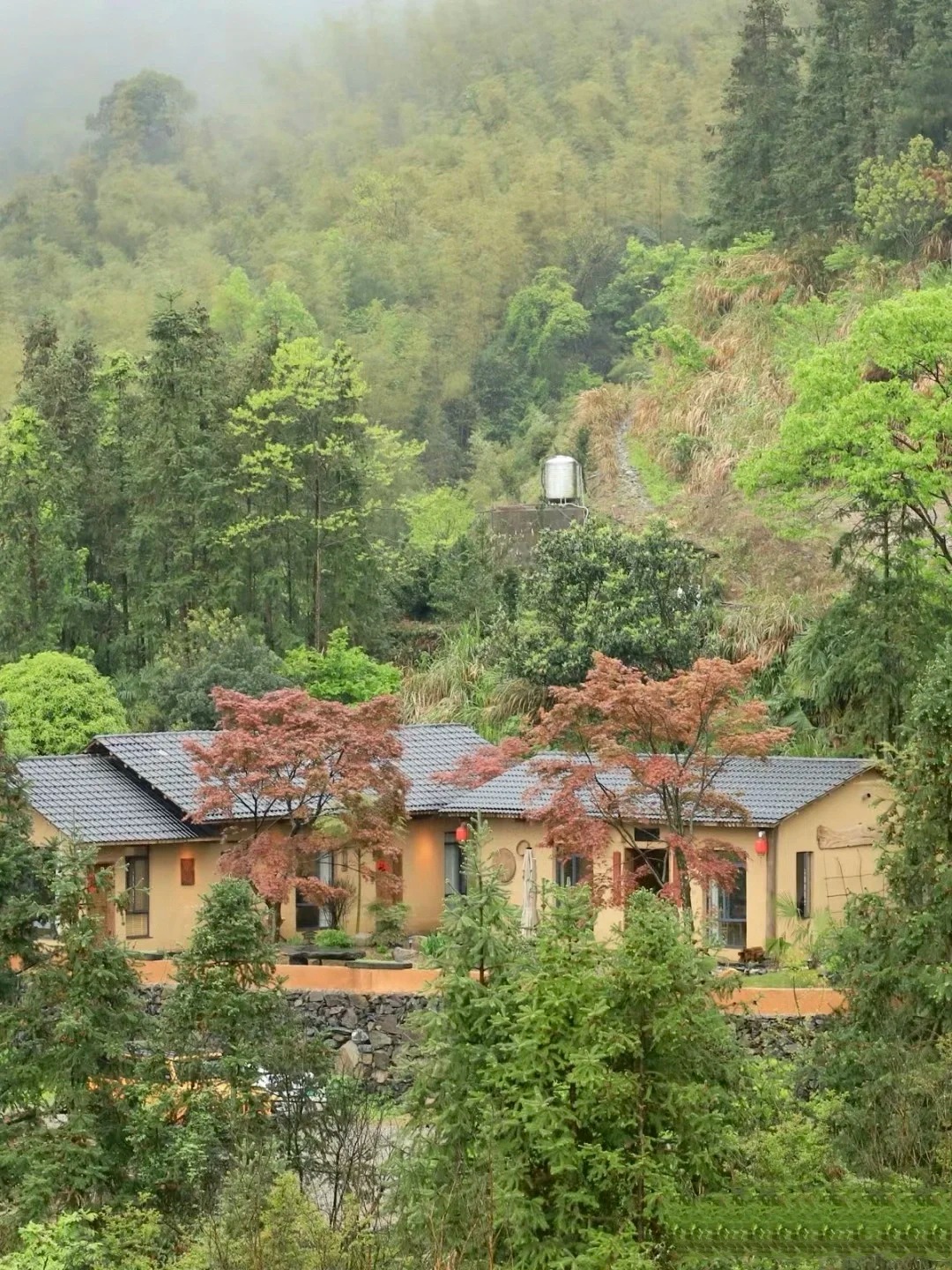 生产厂家生态稻草漆厂家招商