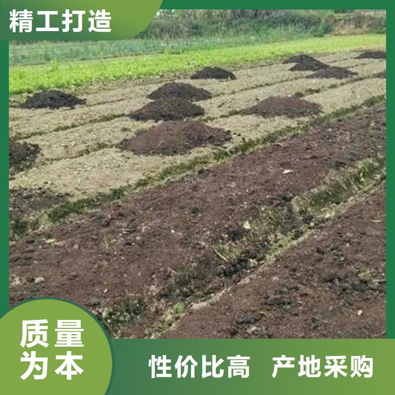 茌平东平新泰稻壳鸡粪咋个用法快速发货