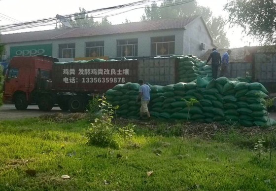 平阴聊城东阿发酵鸡粪让土壤更肥沃