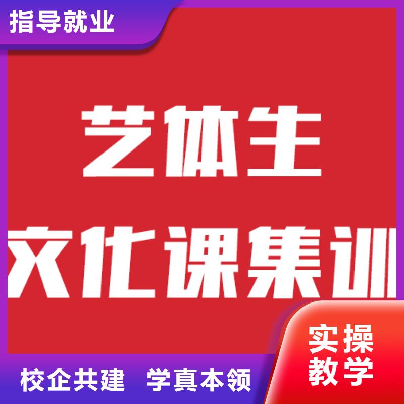 收费艺考文化课集训班理论+实操