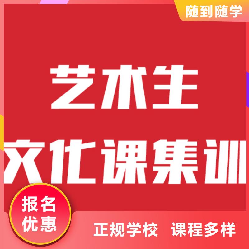 艺考生文化课【艺考培训】理论+实操[当地]品牌