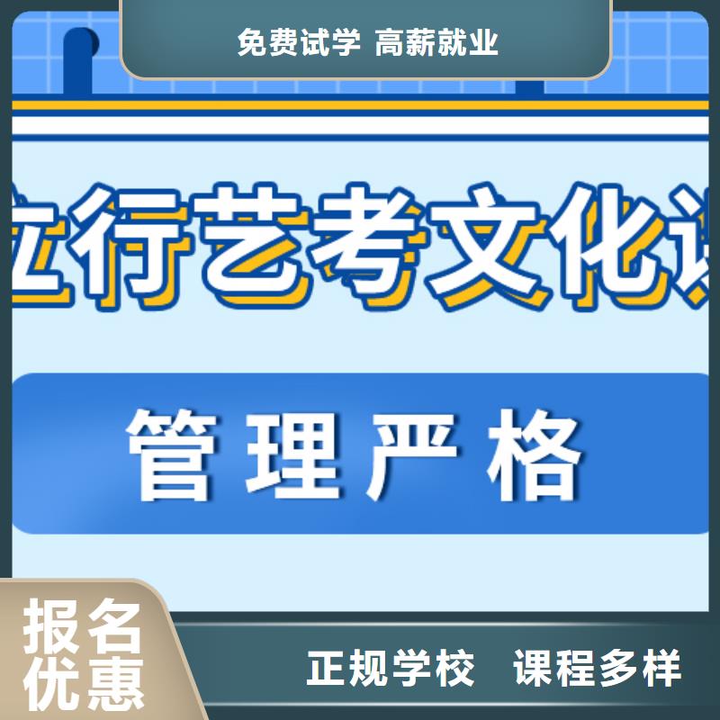 艺考生文化课艺术生文化补习实操教学老师专业