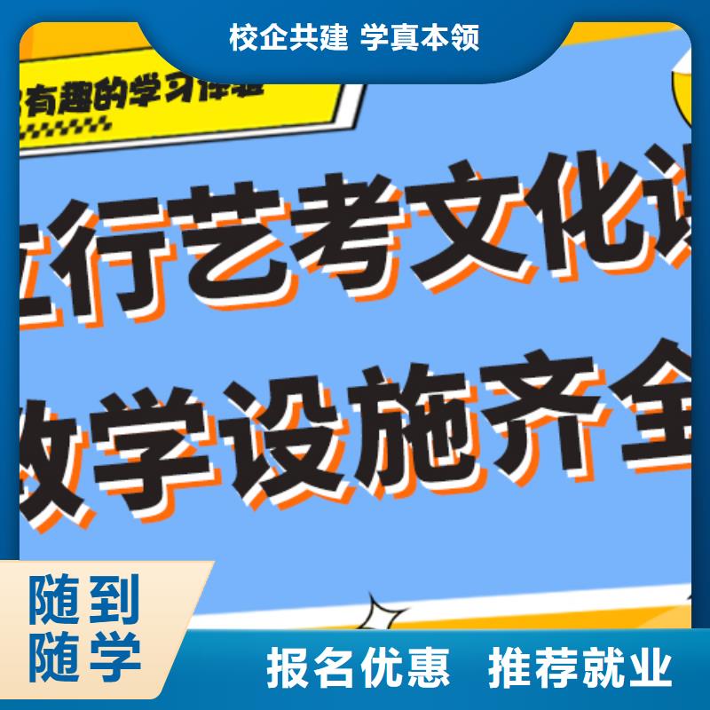 艺术生文化课【高考】就业不担心理论+实操