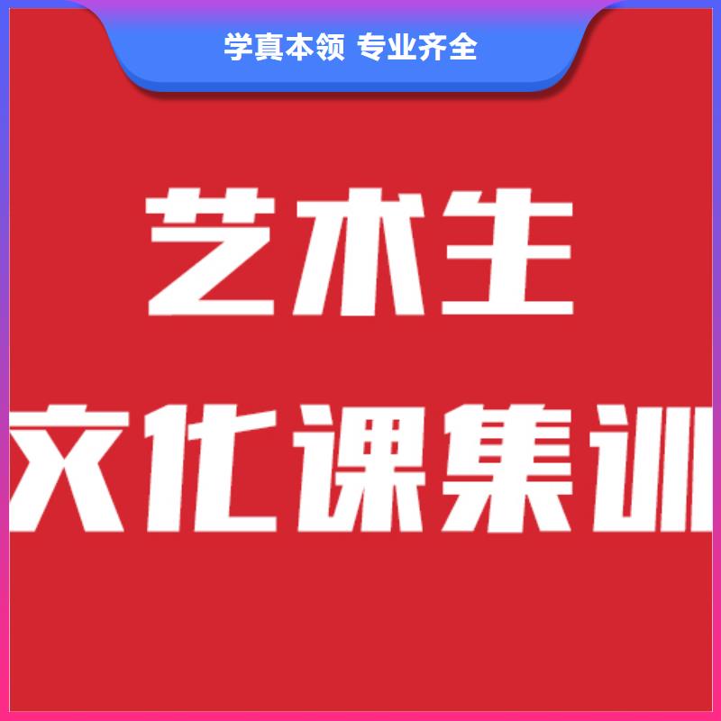 艺考生文化课【美术艺考】全程实操【本地】货源