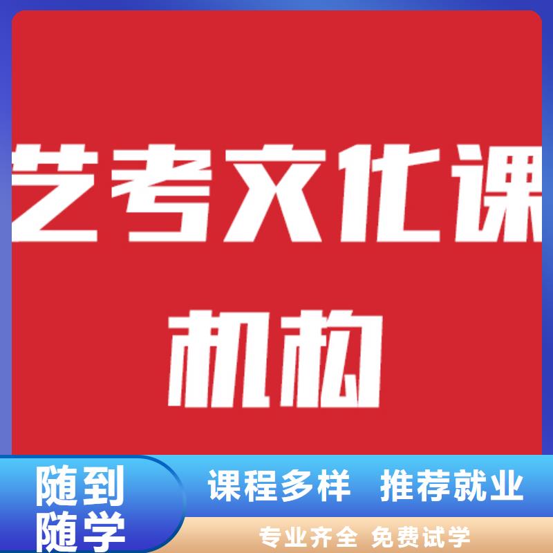 艺考生文化课艺考生一对一补习理论+实操附近生产商