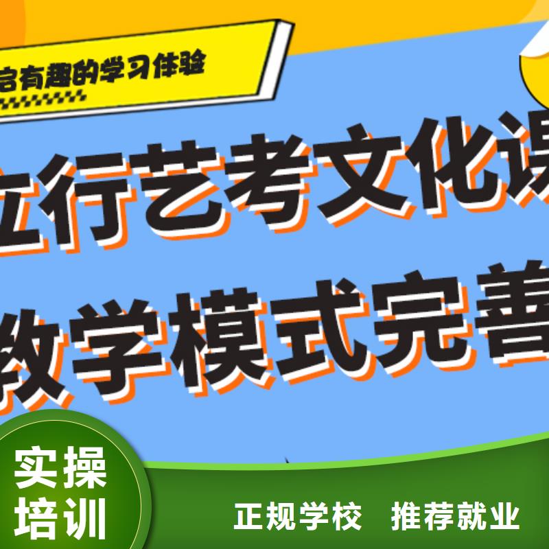 艺术生文化课辅导考试多不多师资力量强