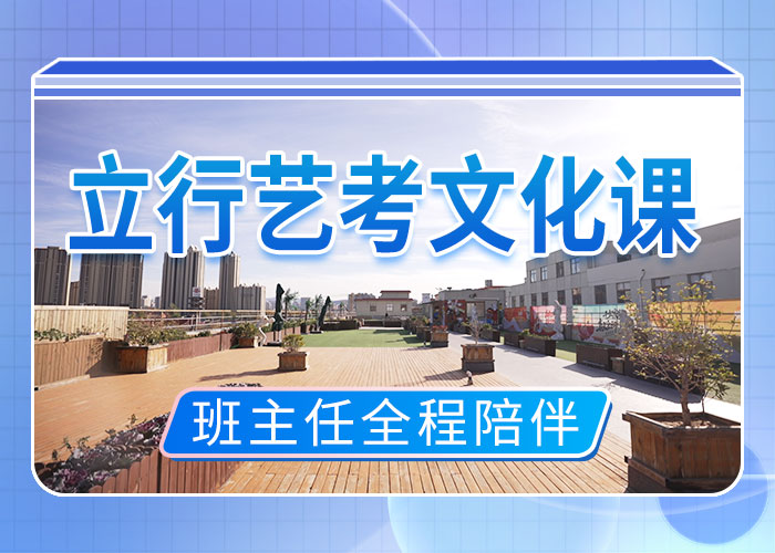 【艺考生文化课冲刺】高中一对一辅导报名优惠老师专业