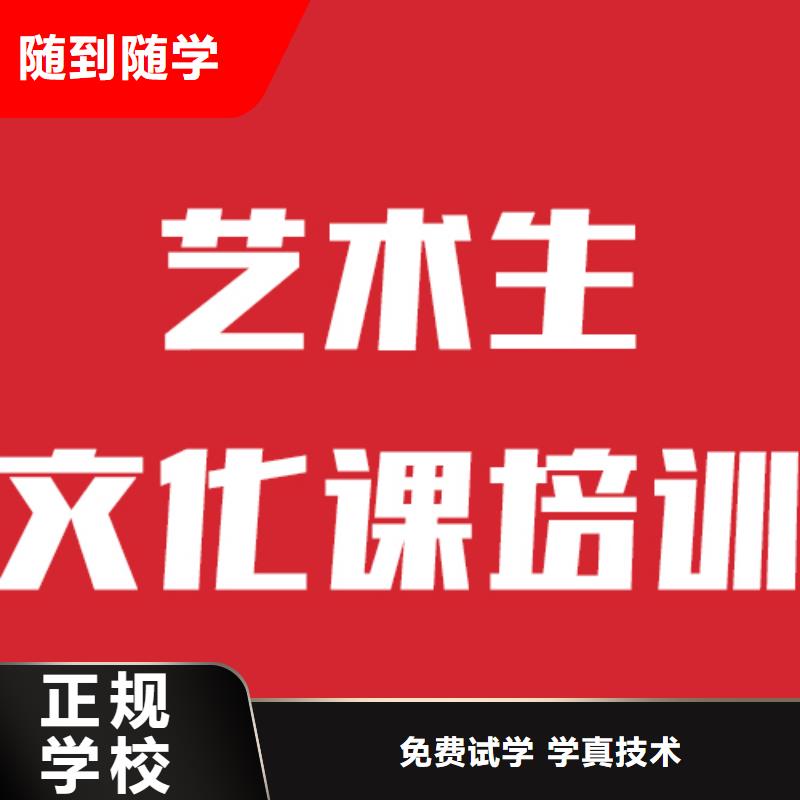 艺术生文化课辅导一览表信誉怎么样？学真技术