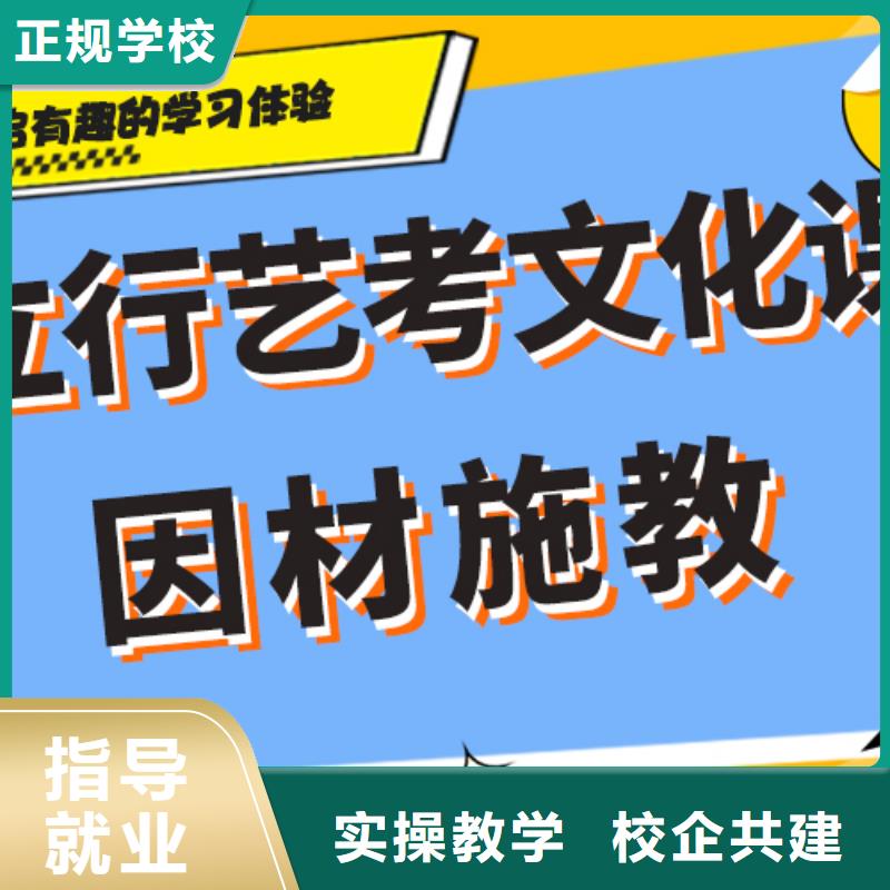 艺术生文化课辅导集训哪里好完善的教学模式手把手教学