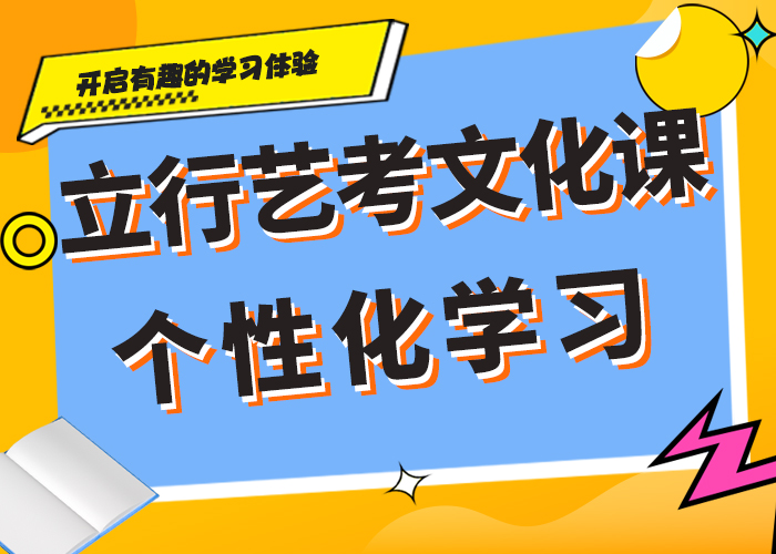 艺术生文化课集训冲刺哪个好个性化辅导教学理论+实操