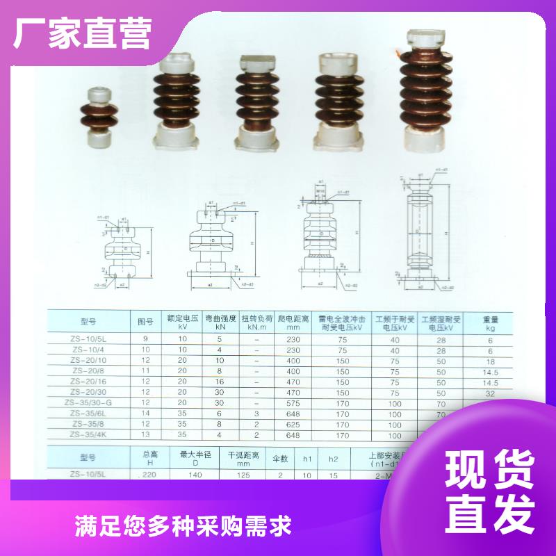 FZSW-220/10绝缘子樊高选择我们没错