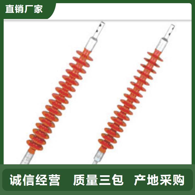 ZJ-10Q/100*140高压环氧树脂绝缘子常年出售