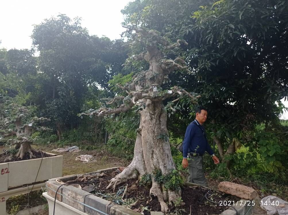 建筑维修房屋修缮沙土固化剂价格优惠