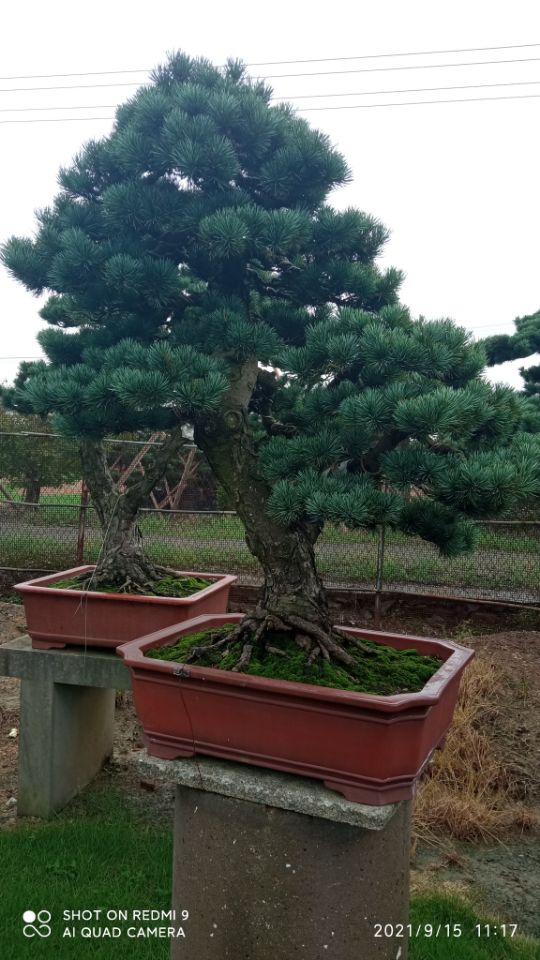 土壤固化剂来图定制量大从优