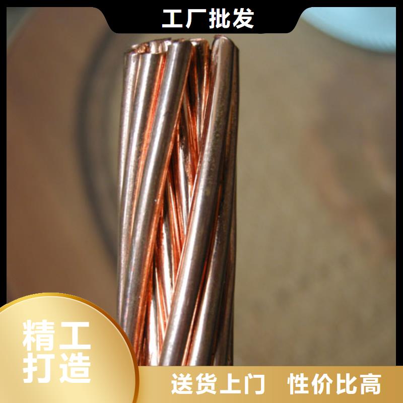 TJ-300平方镀锡铜绞线常用指南【厂家】专注细节使用放心